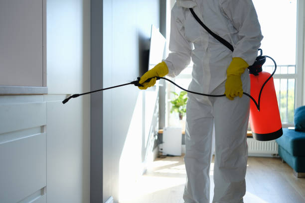Best HVAC Mold Remediation in Bluffton, SC