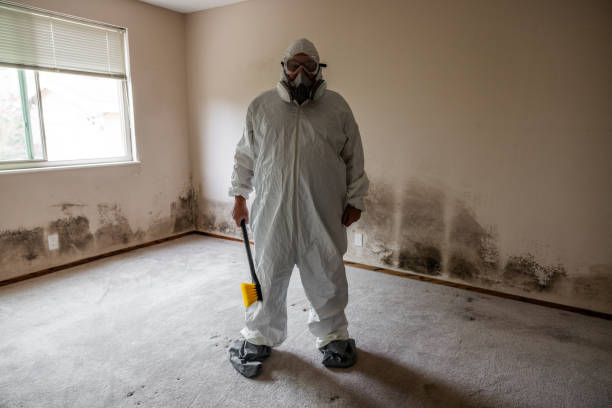 Best Crawl Space Mold Remediation in Bluffton, SC
